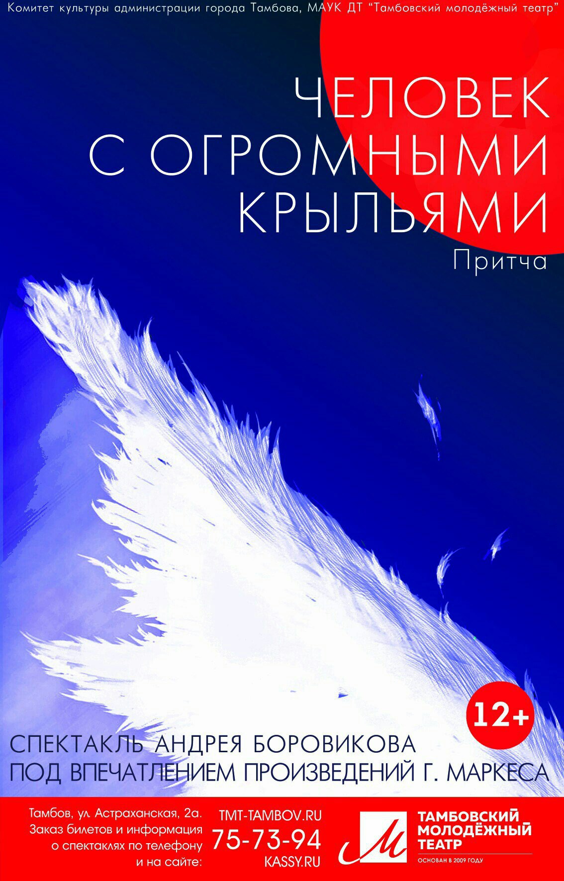 «Человек с огромными крыльями» (Тамбов, 2017)